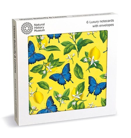 "Ulysses Butterfly and Lemons" Luxury Notecards 6/6